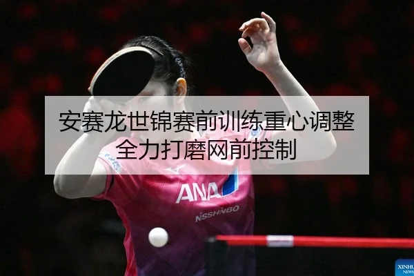 an-sai-long-shi-jin-sai-qian-xun-lian-zhong-xin-tiao-zheng-quan-li-da-mo-wang-qian-kong-zhi-2-679.jpg